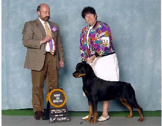 Dog Show Conformation Classes